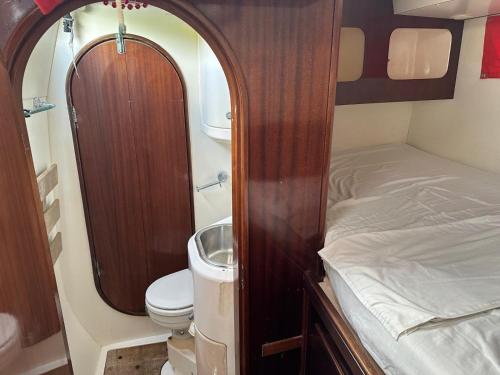a small bathroom with a toilet and a sink at Catamaran El Pelegrino in Les Anses-dʼArlets
