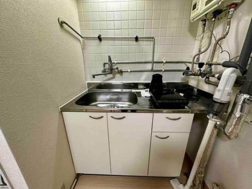 a small kitchen with a sink and a sink at Coop Sunlight - Vacation STAY 19686 in Sapporo