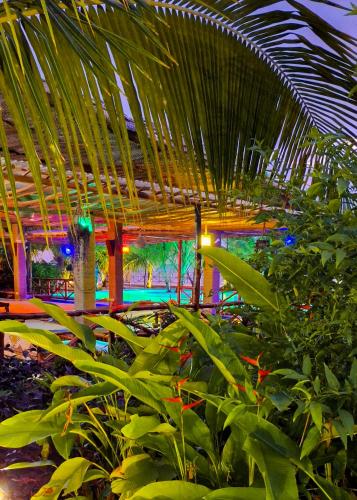 a room with a bunch of plants and a ceiling at Kidoti Bay in Kidoti