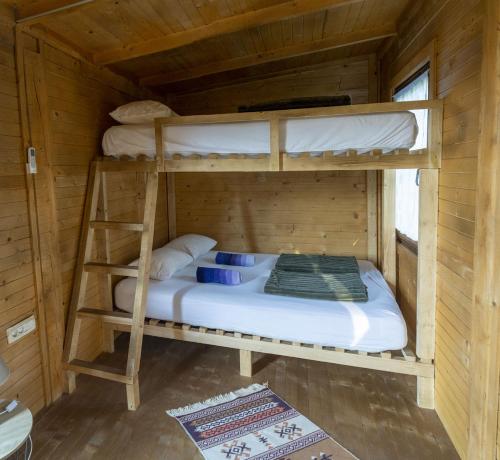 two bunk beds in a wooden cabin with a ladder at Super cute Treehouse by the river in Mostar