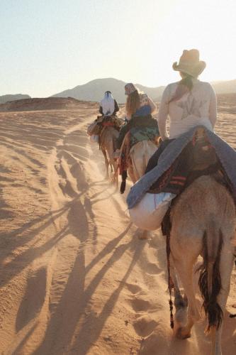 Tetamu yang menginap di Live the bedouinlife