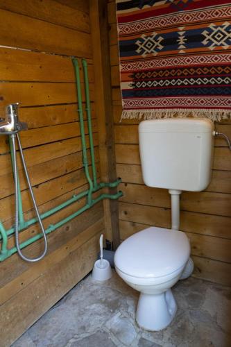 a bathroom with a toilet in a wooden wall at Super cute Treehouse by the river in Mostar