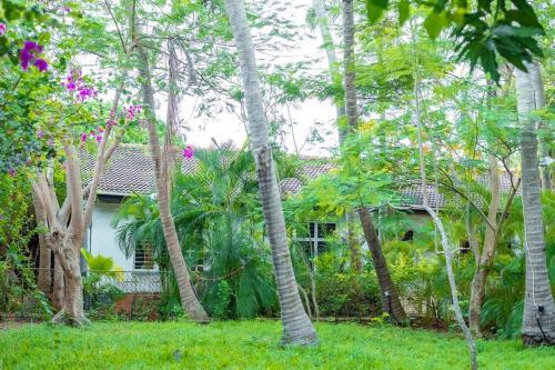 Zahrada ubytování Villa Garden Appartment