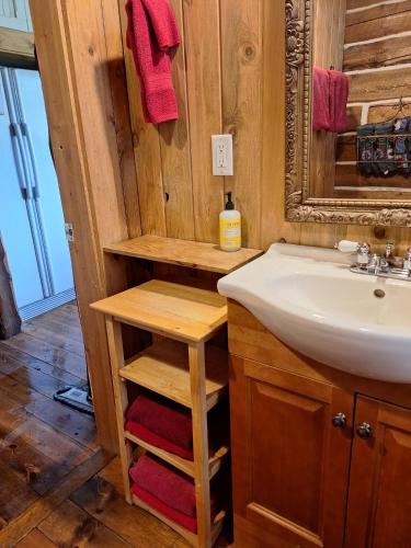 a bathroom with a sink and a mirror at Breathtaking Cabin Away From Reality in Clark