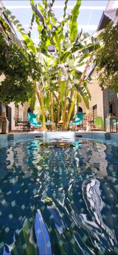 una piscina con una palma sullo sfondo di Riad Aloes & Spa a Marrakech