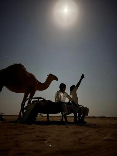 a group of three men and a camel in the desert at Wadi Rum Adventures in Aqaba