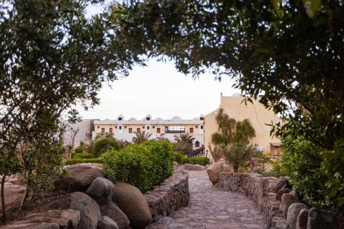 a stone path in front of a building at The Bedouin Moon in Dahab