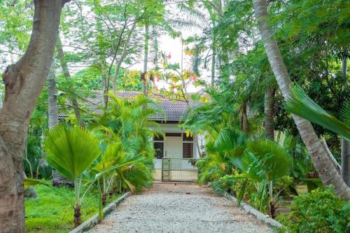a house in the middle of a forest of trees at Villa Garden Appartment in Dar es Salaam