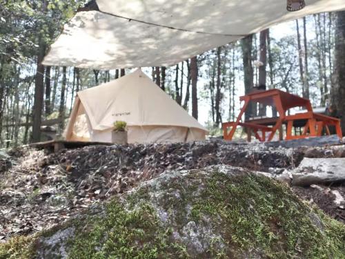 a tent and a chair in the woods at Glamping La Calma, Disfruta y Relájate en Omitlán in Omitlán de Juárez
