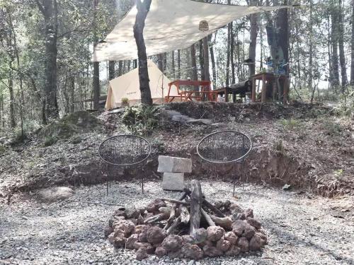 a tent and a pile of logs in the woods at Glamping La Calma, Disfruta y Relájate en Omitlán in Omitlán de Juárez