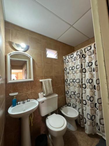 une salle de bain avec toilettes, lavabo et miroir dans l'établissement Cabañas Nuestras Raices Potrerillos, à Potrerillos