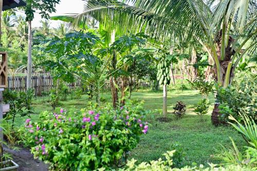 a garden with palm trees and flowers in a yard at Hong Homestay in Pulau Sarang