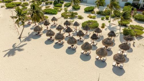 an overhead view of a group of birds on the beach at 3BR Beachfront Luxury Apt w/First Class Amenities in Cancún