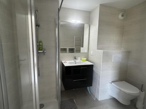 Koupelna v ubytování Grand studio à Thonon, près du lac avec parking - FR-1-498-118