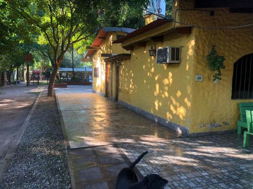 Nabolaget omkring feriehuset eller i nærheden