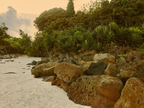 a pile of rocks on a sandy beach at Pyoseon Mansion in Seogwipo