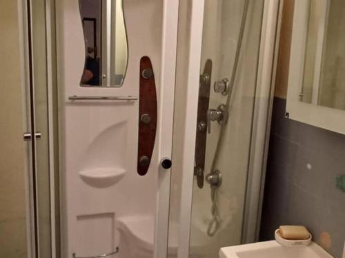 沙泰勒Studio Chaleureux 4 Pers, Balcon, Animaux OK - FR-1-676-224的浴室淋浴门上装有滑板