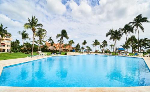 a large swimming pool with palm trees in a resort at BeachFront Appt w/Amazing Pool in Puerto Aventuras in Puerto Aventuras