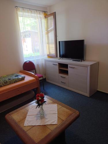 a living room with a tv and a coffee table at Apartmán Bokova chata in Nové Hutě
