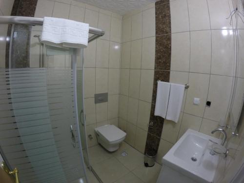 a bathroom with a shower and a toilet and a sink at Pınar Vintage House in Pamukkale