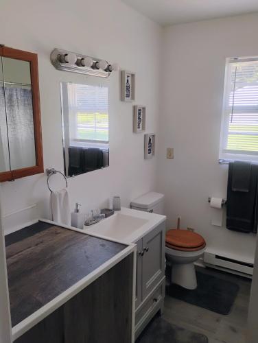 a white bathroom with a toilet and a sink at Buskey's Cozy Haven in Williamsburg