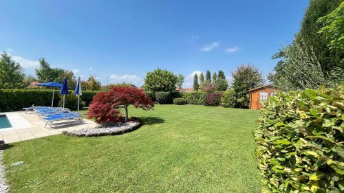 a garden with chairs and a tree in the grass at Hotel Bolero in Sirmione