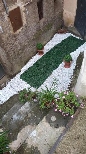 a garden with potted plants on the ground at B&B A due passi dal Castello in Vignanello