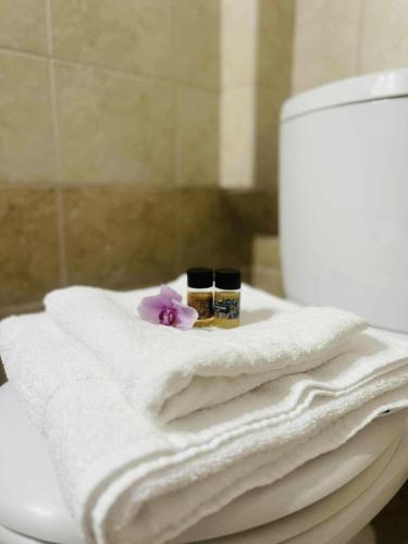 a pile of towels sitting on top of a toilet at Hotel Fotini in Mytikas
