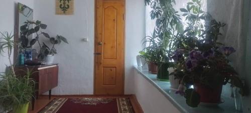 Galeriebild der Unterkunft Гостевой дом Максат in Bokonbayevo