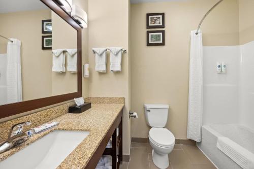 a bathroom with a toilet and a sink at Comfort Inn Willow Springs US 60 and US 63 in Willow Springs