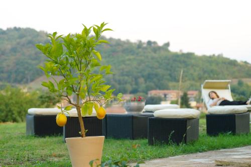 Ein Garten an der Unterkunft BeB montefratta