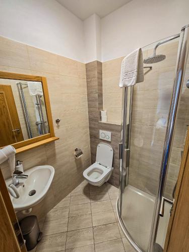 a bathroom with a toilet and a sink and a shower at Hotel Poutní Dům in Králíky