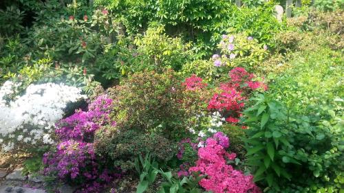 a garden filled with lots of different colored flowers at Słoneczne apartamenty in Sobótka