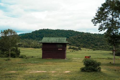 Příroda nedaleko rezortu