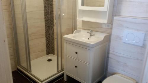 Ett badrum på Apartment im Schwarzwaldhaus