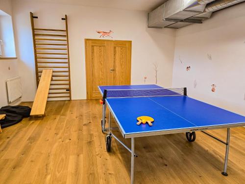 a ping pong table in a room at Hotel Poutní Dům in Králíky