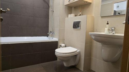 a bathroom with a toilet and a sink at Oasis Apartment in Cluj-Napoca