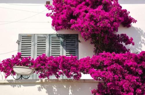 Сад в Charmant appartement Port & Plages !