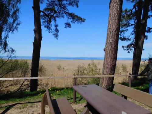 a park bench with a view of the beach at FH "Weininsel am Haff" in Ueckermünde