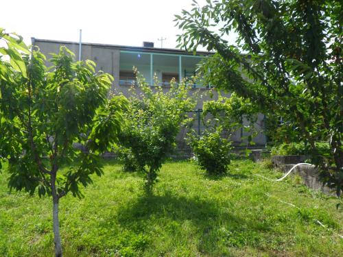 two trees in the grass in front of a building at Guest house Nataly in Yeghegnadzor
