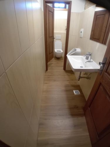 a bathroom with a toilet and a sink at B&B family room Tubej in Bohinj