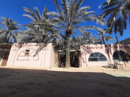 a building with palm trees in front of it at New star hotel in Siwa