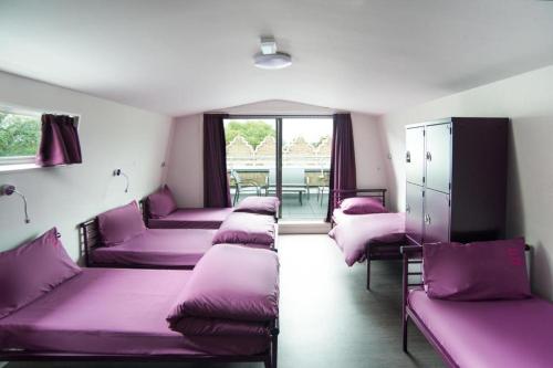 a row of beds in a room with purple pillows at Safestay London Kensington Holland Park in London