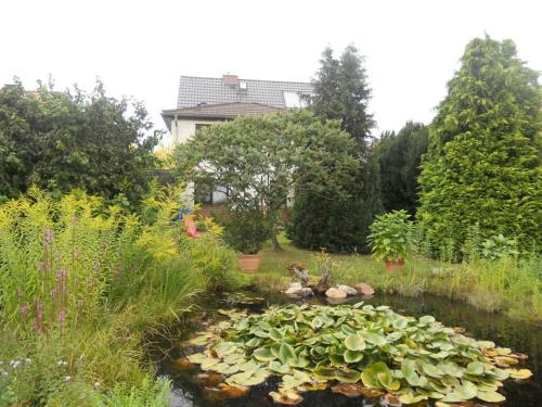a garden with a pond with lots of lilies at Gästehaus unter den Weinbergen in Laucha