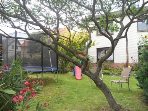 a yard with a tree and a swing at Gästehaus unter den Weinbergen in Laucha