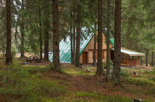 a cabin with a green roof in the woods at Chata Jakobina in Pribylina