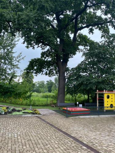 a playground in a park with a large tree at Elegant Riverside Flat in Rīga