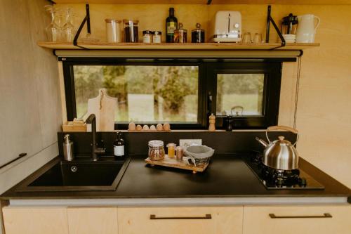 Dapur atau dapur kecil di Parcel Tiny House l'Atrée au bord d'un étang