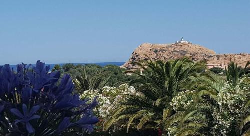 APPARTEMENT ILE ROUSSE VUE MER 5mn PLAGE