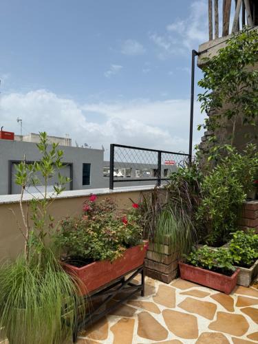 ボーパールにあるDivik Aparthotelの植物のあるバルコニーの上にベンチが備わります。